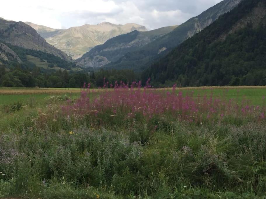 Appart très ensoleillé 7 pers au pied des pistes Ancelle Exterior foto